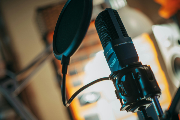 A microphone with a pop filter on a mic arm.